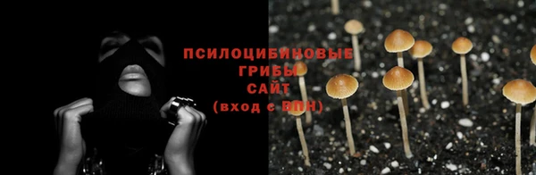 spice Семилуки