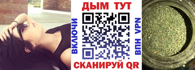 МАРИХУАНА сатива  купить наркоту  Сретенск 